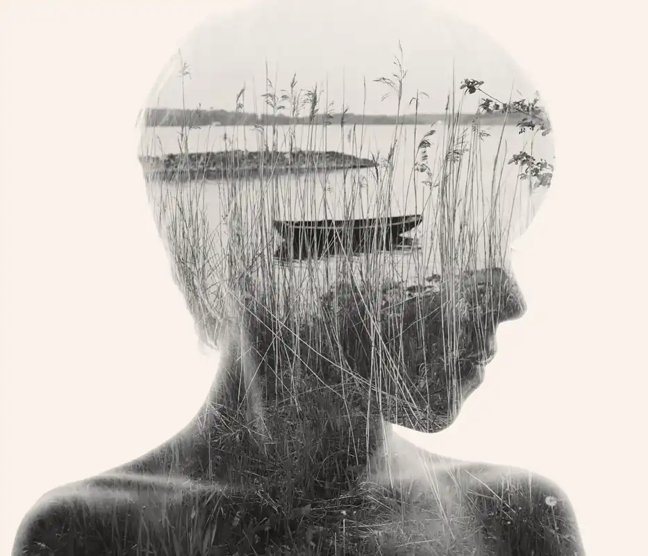 Lägg i varukorg | Christoffer Relander - Adrift in the Reeds